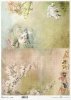 wiosenne kwiaty, wiejskie widoczki, kurczaki, owce, baranki*spring flowers, countryside views, chickens, sheep, lambs